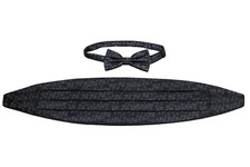 Black with Silver Vines