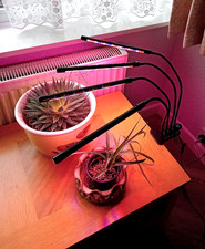 LED 4 Head Gooseneck Indoor Plant Grow Light   (Description Below)