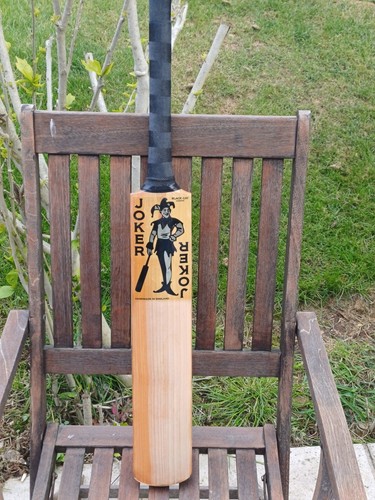 2019 black cat joker - 2019,