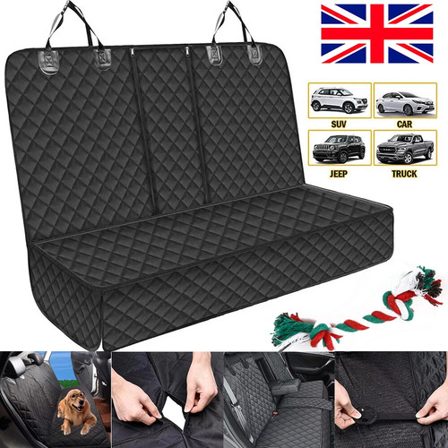 Car rear back seat - back, pet