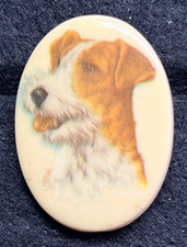 VINTAGE FOX TERRIER PORTRAIT