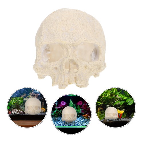 Dragon skull reptile - dragon,