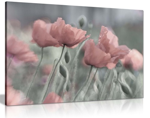 Pastel pink blossoms - pastel, floral