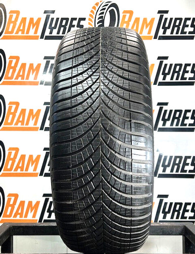 Goodyear vector seasons - vector,