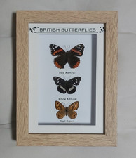 Framed real british - real,