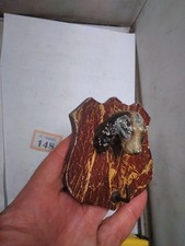 Cold Painted Dog Lead Hook