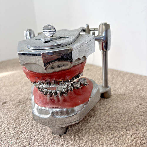 Orthodontist dentist teeth - orthodontist,
