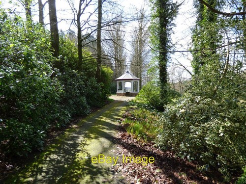 Photo 6x4 summer - summer, house