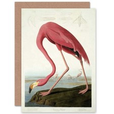 Havell audubon american - havell,