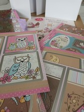 Dawn Bibby design Spring Woodland Card Making Kit partly used with lots of items