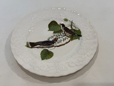 Alfred Meakin Audubon Kingbird