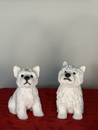 Leonardo collection westie - leonardo, dog