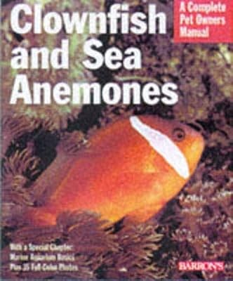 Clownfish and sea - clownfish,