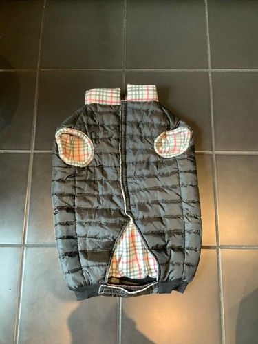 Medium large dog black - medium,