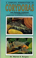 A Complete Guide to Corydoras