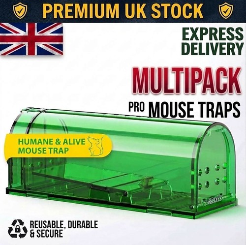 Humane mouse trap live - trap,