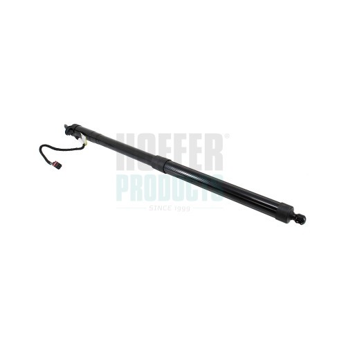 Hoffer gas spring - gas,