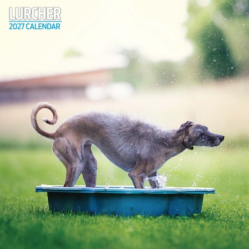 Lurcher 2027 traditional - 2027,