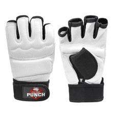 Karate Taekwondo Martial Arts