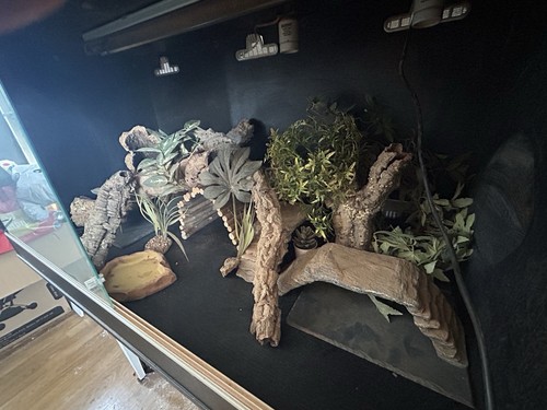 Large vivexotic vivarium setup - large,