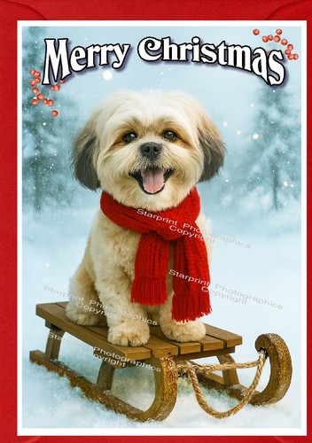 Lhasa apso dog - apso, card
