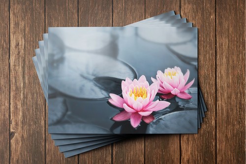 Customer loyalty cards blank - cards,