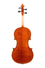 Great Professional Viola