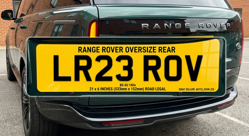 Large oversize 21x6 rear - large,