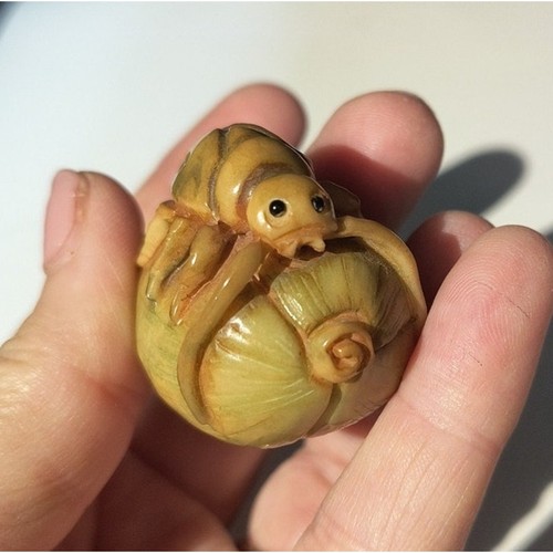 Netsuke tagua palm nut - tagua,