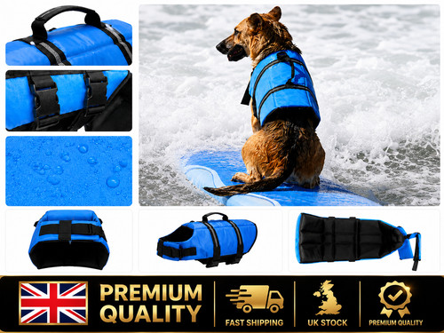 Dog life jacket safety - dog,