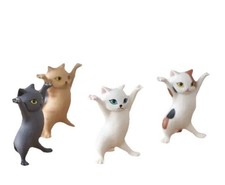 Adorable Miniature Dancing
