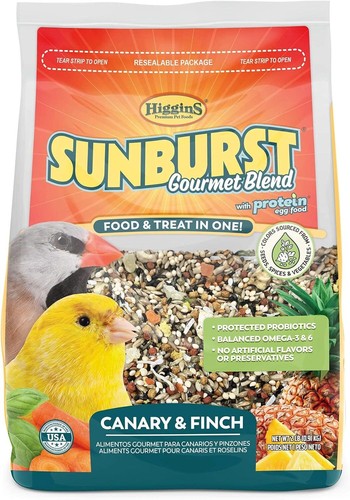 Higgins sunburst canary - higgins, finch