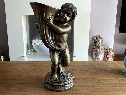 Cherub flower plant - flower,