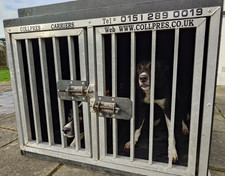 Dog Safety Travel Crate