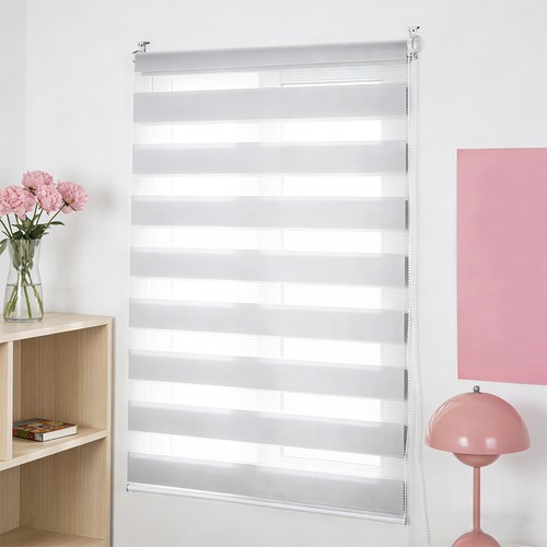 Zebra vision window roller - vision,