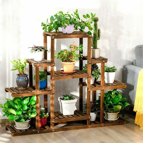 Wood plant stand tall - plant, low