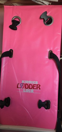 Kiddies ladder lock bunk - kiddies,