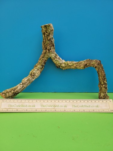 Cork bark branch 24cm snake - branch,