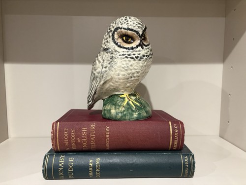 Babbacombe pottery owl - owl, figure