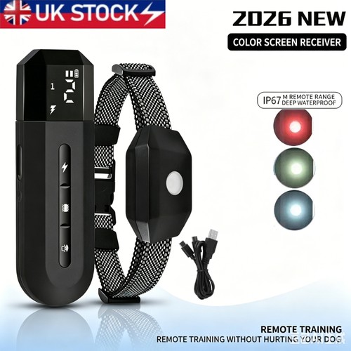 800m electric pet dog - 800m, training