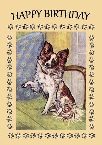 Papillon dog birthday - dog, card