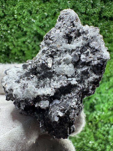 Striking specimen galena - specimen, of