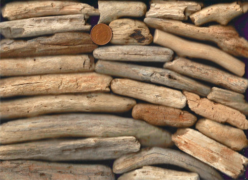 North sea driftwood - north,