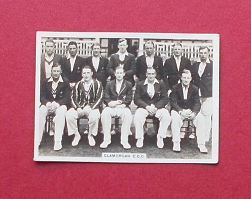 Cricket ardath - ,