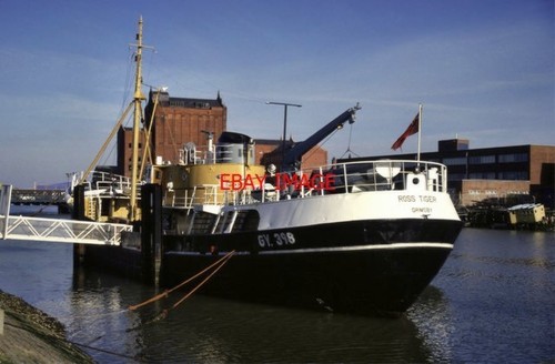 Photo 1994 mfv ross - ,