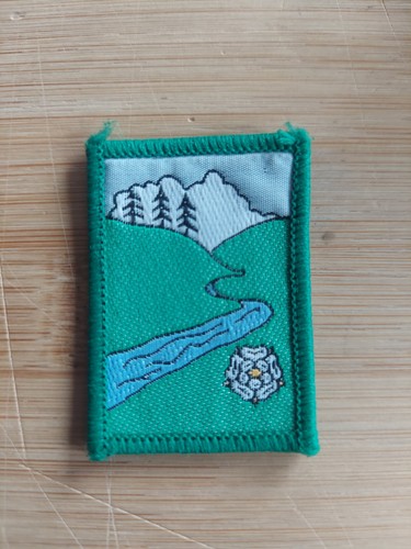 Scouting district badge - scouting,