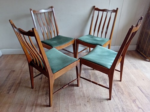 Delightful 1970 stag - delightful,