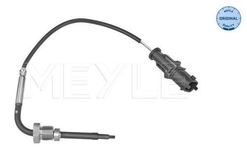 Black exhaust gas - exhaust, temperature