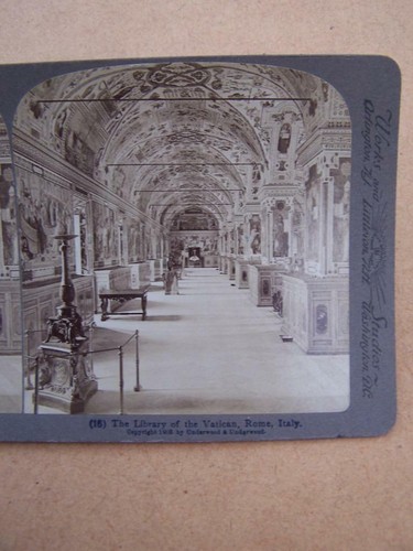 Stereoscopic stereo view - stereoscopic, stereo-view