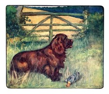 1906 antique sussex - antique,